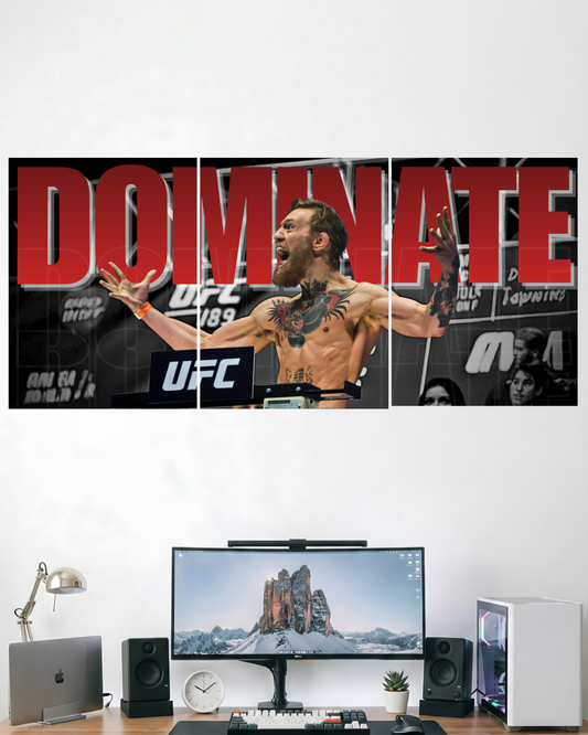 DOMINATE UFC | 3 PIECE SPLIT DESIGN UFC POSTER | SPORTS