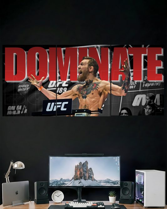 DOMINATE UFC | 3 PIECE SPLIT DESIGN UFC POSTER | SPORTS
